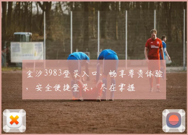 金沙3983登录入口，畅享尊贵体验，安全便捷登录，尽在掌握