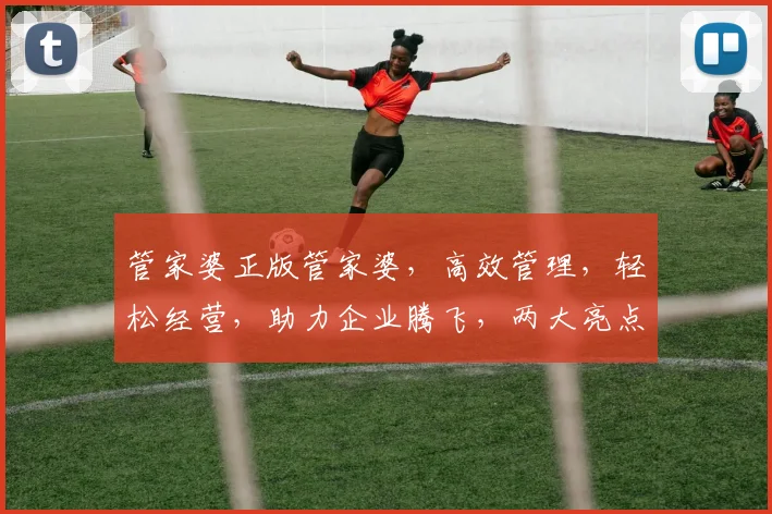 管家婆正版管家婆，高效管理，轻松经营，助力企业腾飞，两大亮点，不容错过，