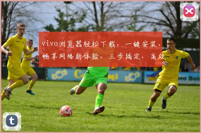 vivo浏览器轻松下载，一键安装，畅享网络新体验，三步搞定，高效便捷
